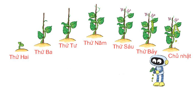 Bài tập về các ngày trong tuần lớp 1 - Cơ bản